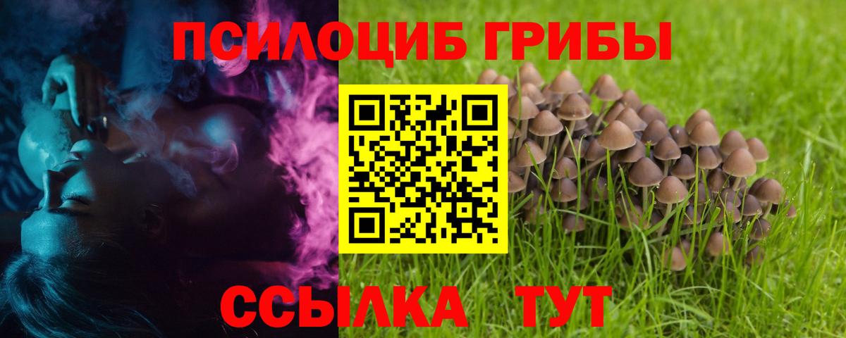 Александров  Галлюциногенные грибы Magic Shrooms  Вход с VPN  Псилоцибиновые грибы ЛСД 